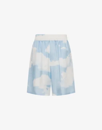 Bermudas de sarga de seda Nubes de archivo
