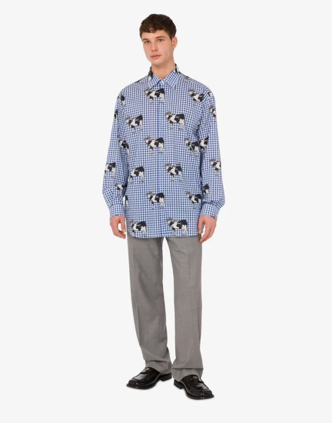 Camisa de popelín de algodón Archivo