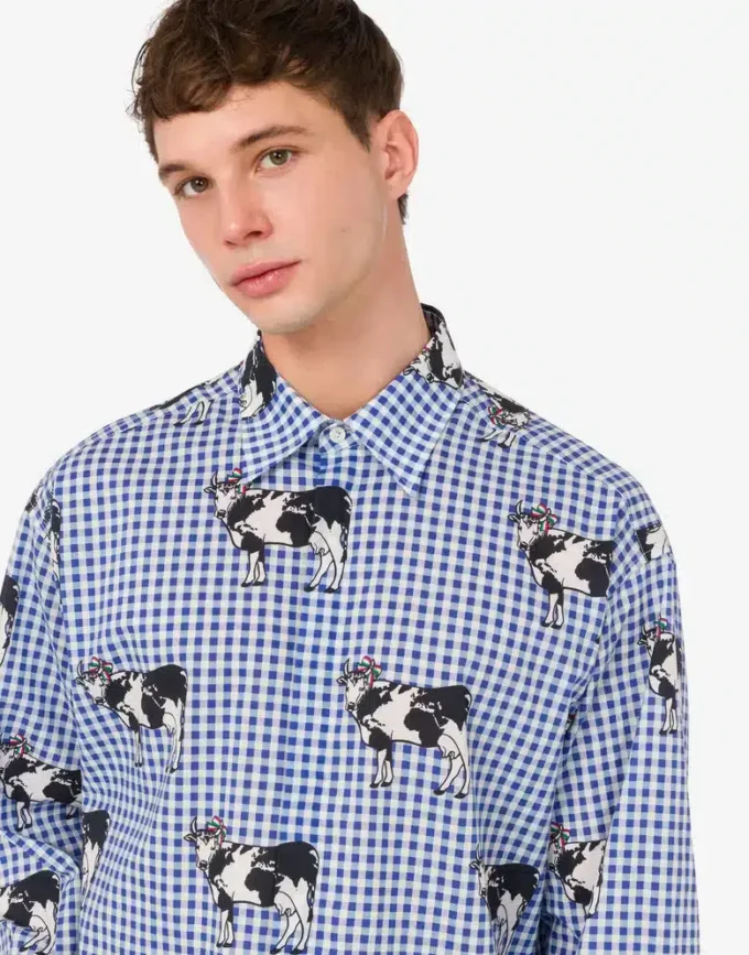 Camisa de popelín de algodón Archivo